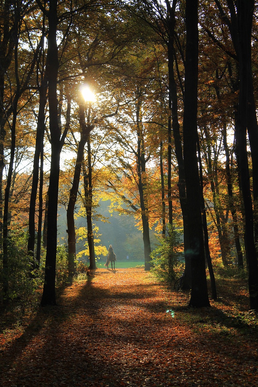 Eilenriede Hannover